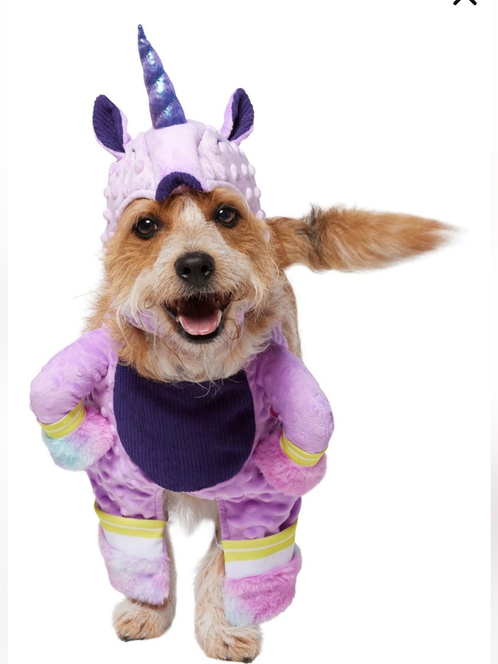Dog Unicorn Halloween costume